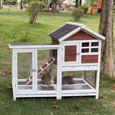 Pet House (Rabbits, Birds, Chickens, Cats), Pet Supplies, Homes & Other Pet Accessories on Carousell