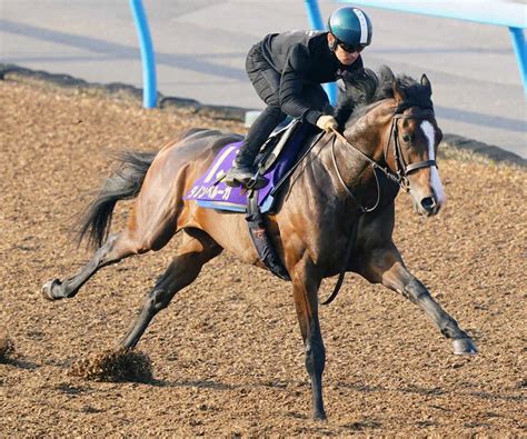 【日本ダービー1週前追い】ダノンベルーガ 川田が最後まで緩めず好時計6f77秒9 スポニチ競馬web