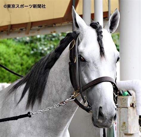 翠 on Twitter RT tospo keiba 完成 リュンヌドネージュ 競馬 https t co