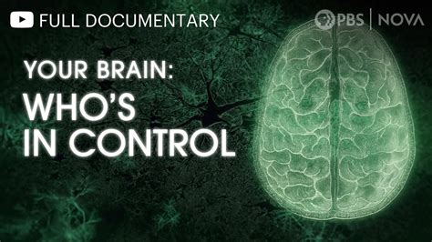 Your Brain Whos In Control Full Documentary Nova Pbs