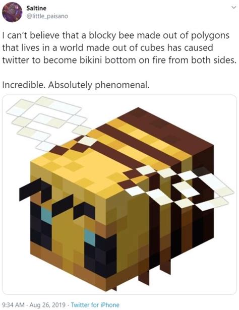 Minecraft Bee Is Absolutely Phenomenal Incredible Absolutely