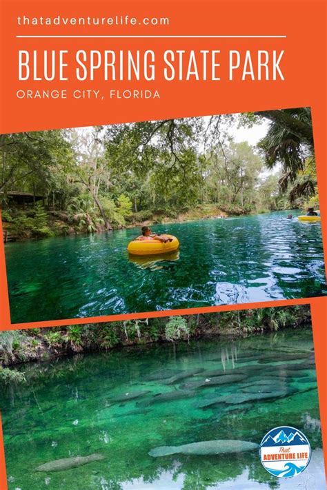 Fun Outdoor Adventure Activities At Blue Spring State Park In Florida Blue Springs State Park