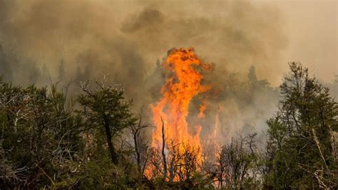 El Desesperante Mapa Que Muestra Todos Los Incendios Forestales Del