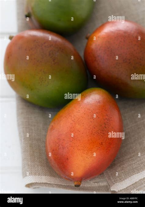 Mangoes Hi Res Hi Res Stock Photography And Images Alamy