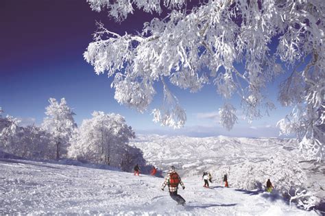 Nagano Ski Season 2024 - Gill Appolonia