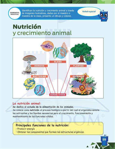 CIENCIAS NATURALES 1er Grado 1 Kingdom Editorial Página 101 Flip