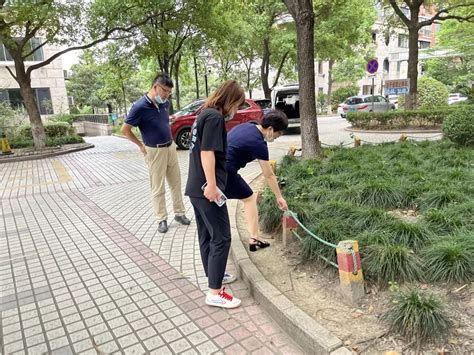 长宁：周家桥街道全力以赴推进全国文明城区创建工作—各区联播—文明上海