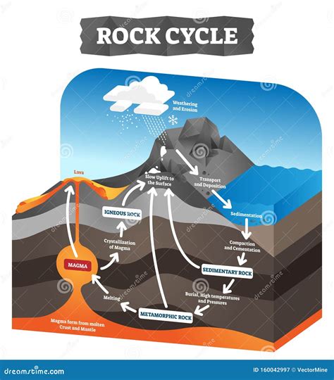 Rock Cycle Vector Illustration. Educational Labeled Geology Process ...