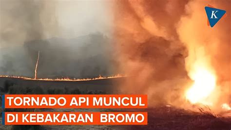 Tornado Api Muncul Di Tengah Kebakaran Bromo YouTube