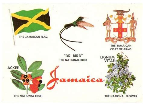 National Symbols Of Jamaica The Jamaican Symbols And Emblems Jamaica