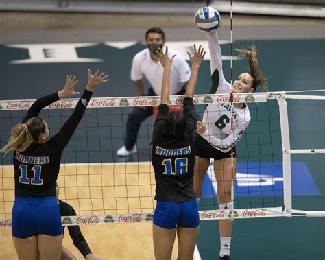 Rainbow Wahine, Gauchos meet for top spot in Big West – Hawaii Warrior ...