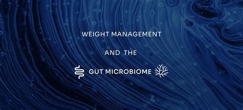 Weight Management And The Microbiome Jona