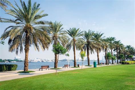 Premium Photo Beautiful Modern Urban Park With Green Lawn And Palm