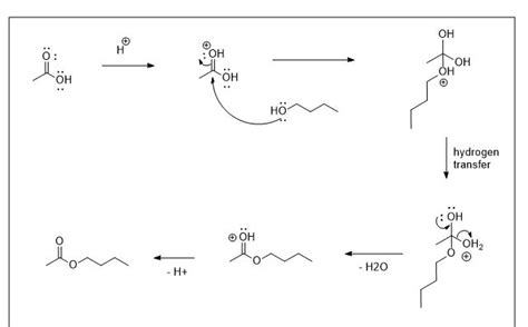 Solved What Is The Mechanism For The Fischer Esterification Reaction