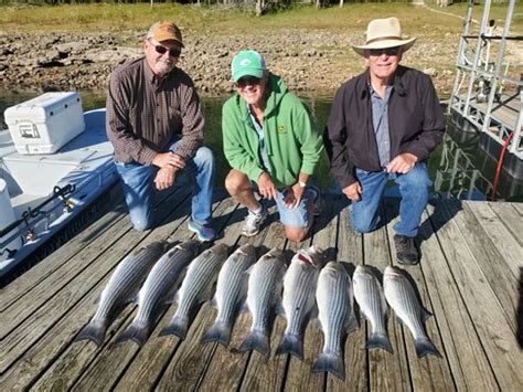 Beaver Lake Striped Bass Fishing Report Guided Striper