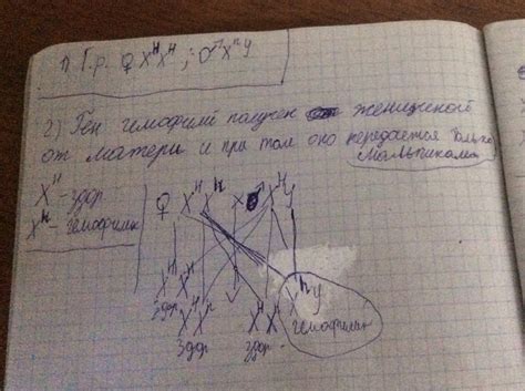 Решение задач пожалуйста...... 1)мужчина-гемофилик женился на здоровой ...