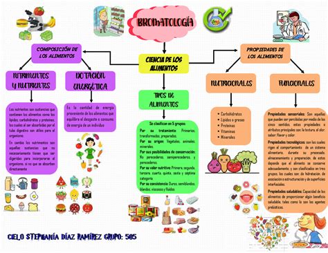 Mapa Conceptual De La Clasificacion De Los Alimentos Segun Su Fu