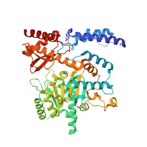 Rcsb Pdb E O Human Histidine Decarboxylase Complex With Histidine