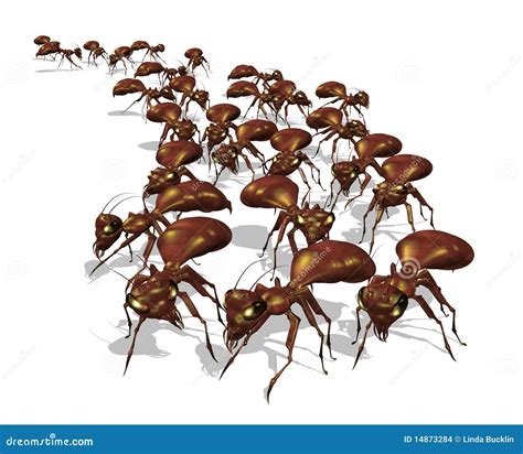 Army Of Ants Stock Illustration Illustration Of Insects 14873284