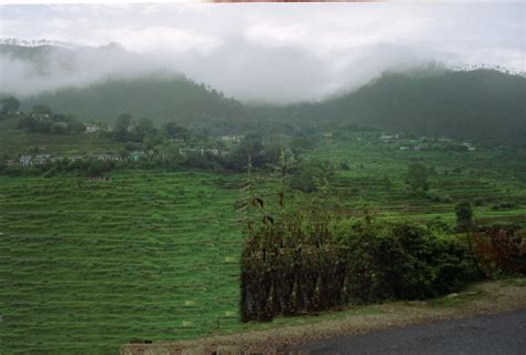 Tourism of Uttaranchal | Uttaranchal: Ranikhet | Ranikhet Hill Station ...