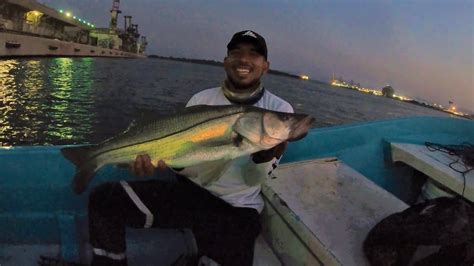 Pesca De Pargos Y Robalos En Los Muelles De Lazaro Cardenas Youtube