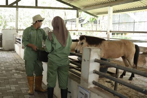 Gandeng Industri Terkemuka Fakultas Kedokteran Hewan Hadirkan