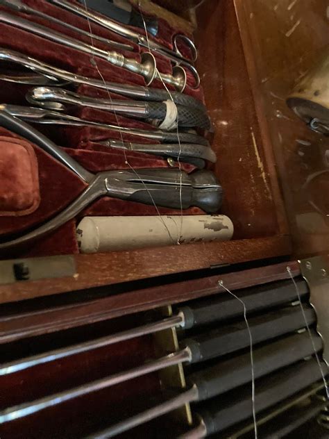 History Right Under Your Nose – The Feral Historian