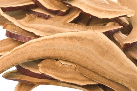 Tranches Arides De Champignon Lingzhi Avec La Tasse Sur Le Fond Blanc