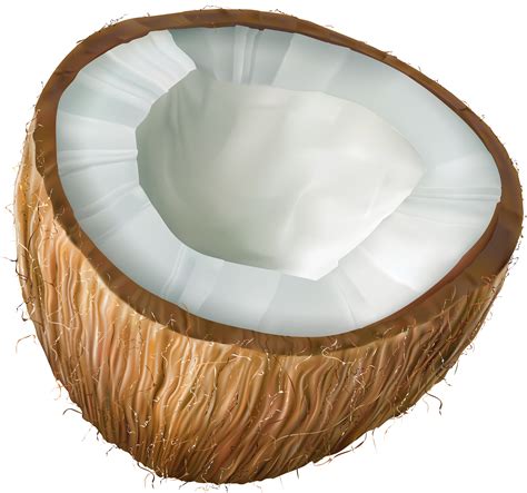 coconut clip art 20 free Cliparts | Download images on Clipground 2024