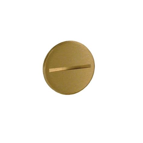 Raco 1 In Crowned Slotted Brass Plug 6225 The Home Depot