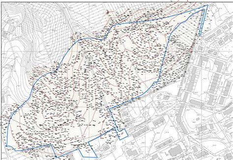 Rilievi Topografici Gaiagroup