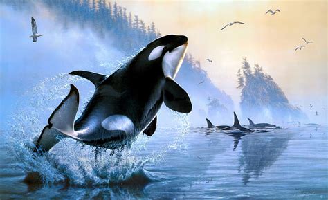 HD wallpaper: Animal, Orca, Artistic, Painting, Sea Life | Wallpaper Flare