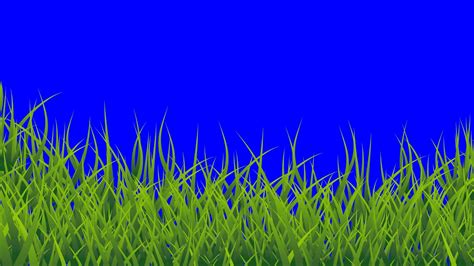 No Copyright Green Screen Grass 9 Different Scenes Youtube