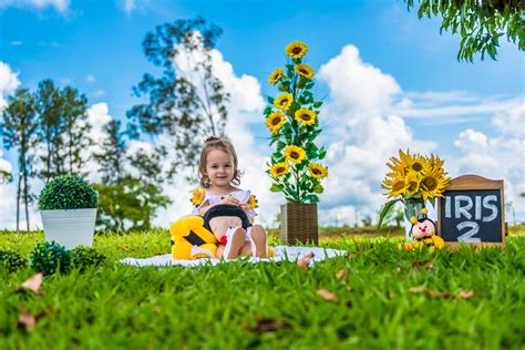 Ensaio Infantil Girassol Da Íris