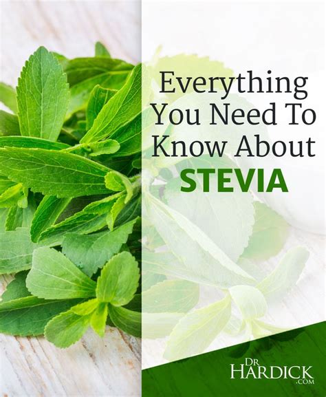 Everything You Need To Know About Stevia Stevia