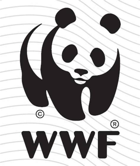 La Hora Del Sapo Wwf Informe Planeta Vivo El Diagn Stico De La