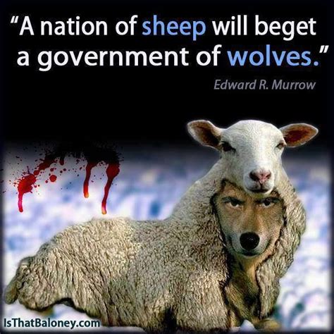 S Sheep In Wolves Clothing Quotes Quotesgram