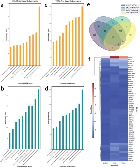 Ccn High Specific Networks In Ccle And Tcga Gbms Webgestalt Ora Of