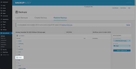 Restore Files Using Backupbuddy Dashboard Restore Solid Help Center