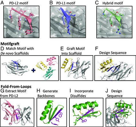 Computational Design Of De Novo Pd Binding Miniproteins A C