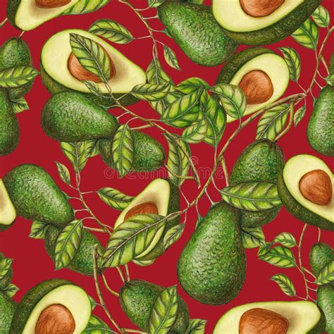 Seamless Pattern Of Fresh Avocados Stock Illustration Illustration Of