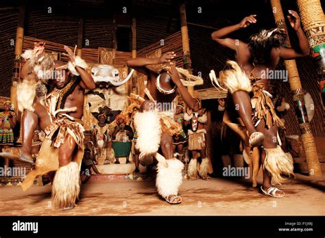 Zulu Dancers High Resolution Stock Photography And Images Alamy