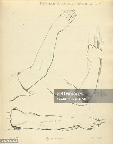 197 Elbow Joint Drawing High Res Illustrations Getty Images