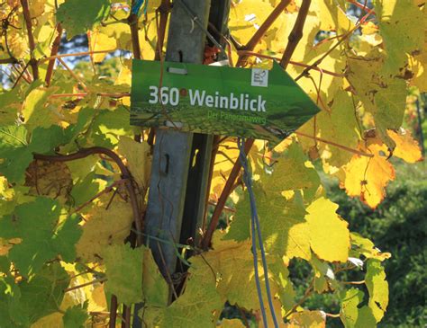 Neue Weinblicke Wandern Auf Dem Batzenberg Panoramaweg Chilli