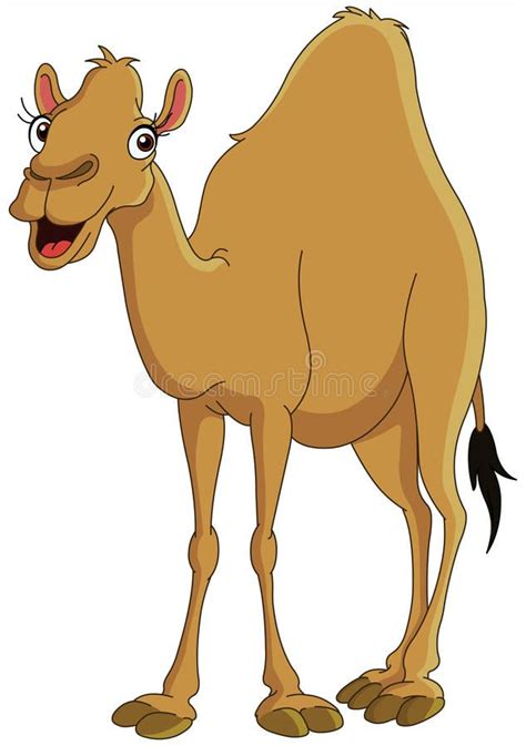 Camel Stock Vector Illustration Of Asia Borden Character 13969210