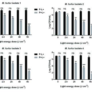 Fluorescence Images Of M Furfur Cells After HMME And AE Mediated