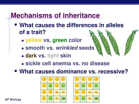 Ppt Beyond Mendels Laws Of Inheritance Powerpoint Presentation Free