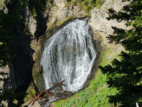 Turkey Creek Trail # 580 - Pagosa Springs Area Trails