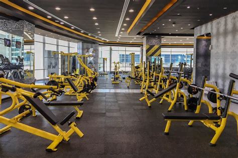 Here Are The Top Gyms In Dubai By Neighbourhood Insydo