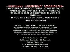 Lisa Lipps Free Mobile Porn Videos IPornTV